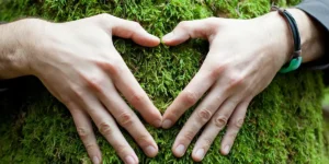 Eco impact of cream chargers